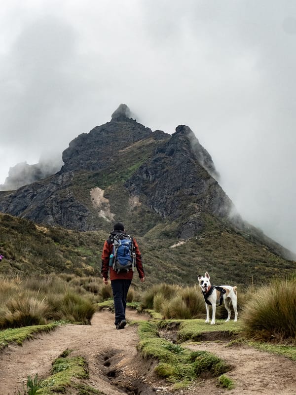 A hiker with a backpack and a dog walking on a dirt trail toward a misty mountain.
