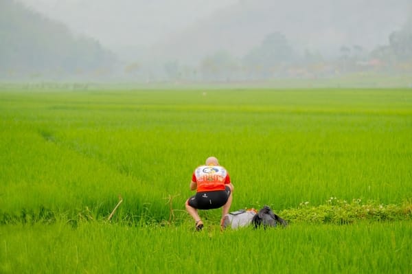 A person in a red and white shirt squatting in a lush green rice field with hazy mountains in the background.