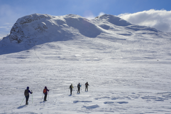 Five skiers cross a vast, snow-covered mountain plateau beneath a bright blue sky.