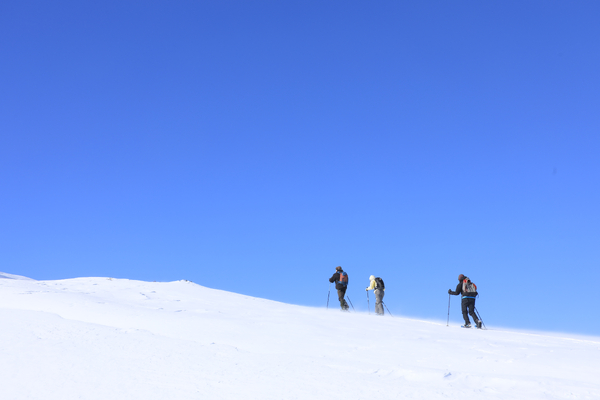 Three cross-country skiers on a snowy slope under a bright blue sky.