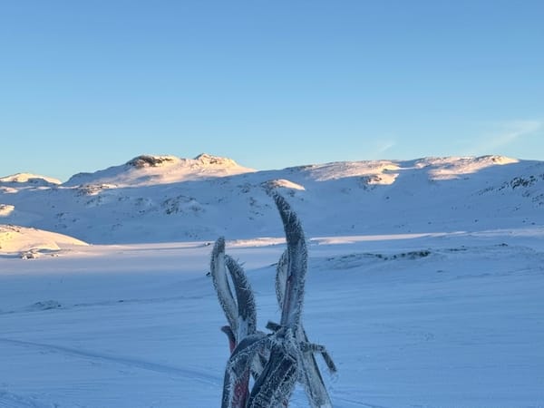 Snowshoes stuck vertically in the snow with a snowy mountain landscape and blue sky in the background.