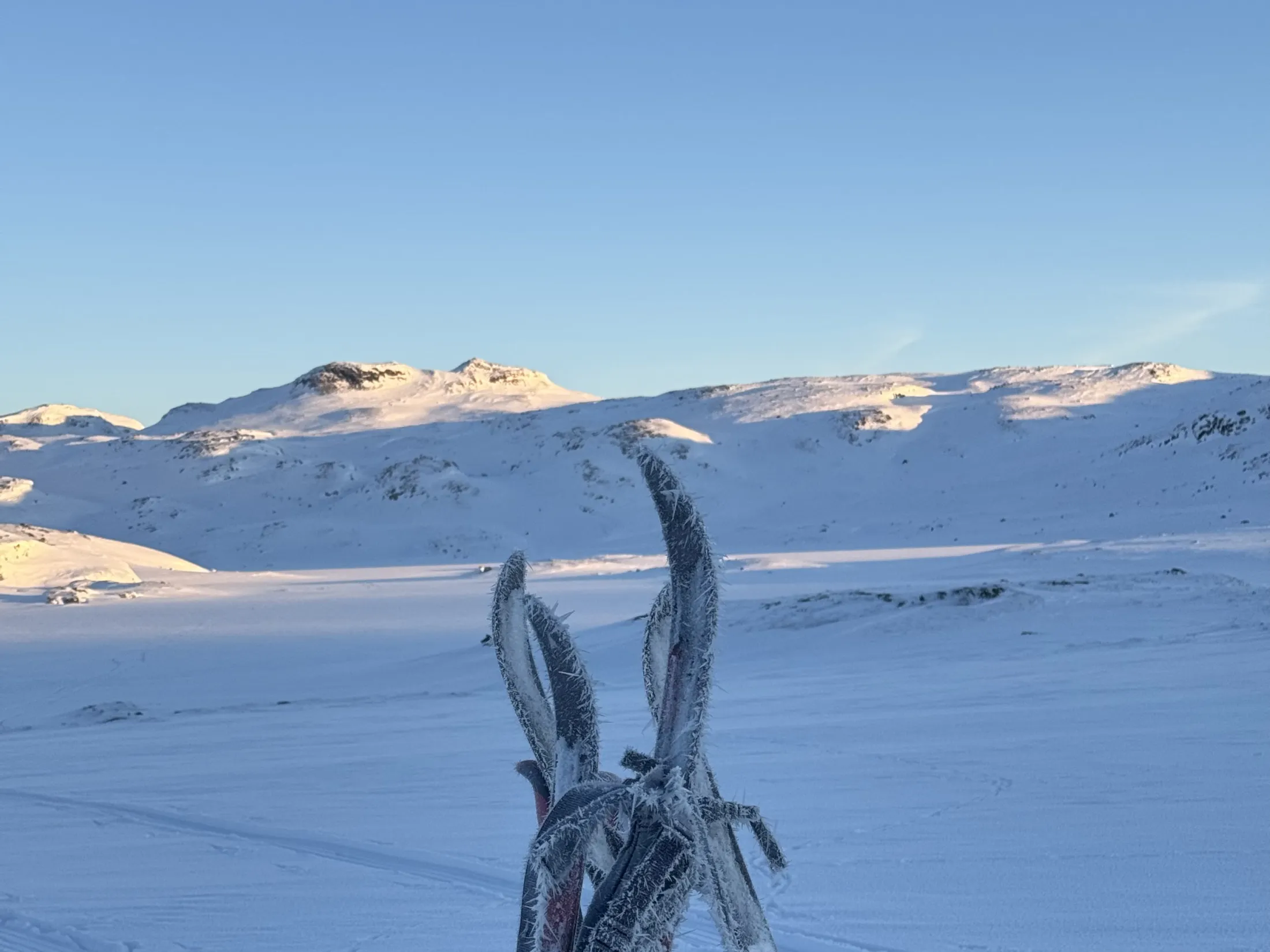 Snowshoes stuck vertically in the snow with a snowy mountain landscape and blue sky in the background.