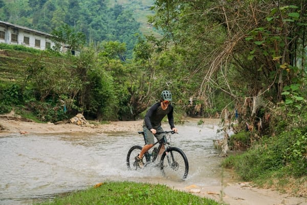 A mountain biker riding through a shallow stream in a lush, green landscape.