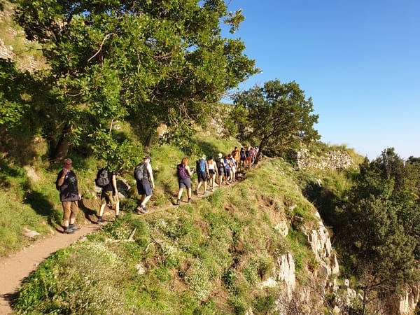 A group of hikers walking on a narrow, tree-lined mountain trail under a clear sky.