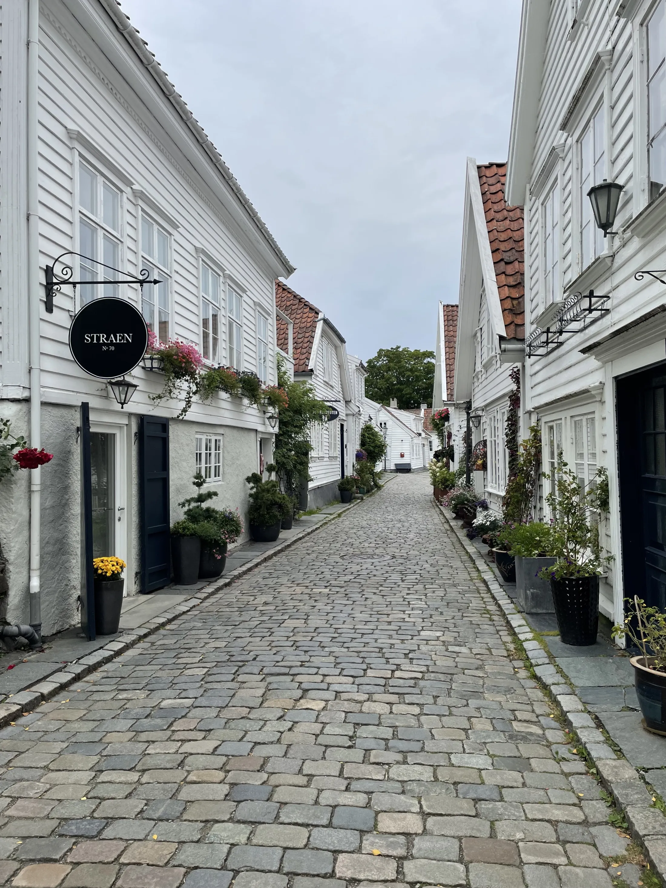 A narrow cobblestone street lined with traditional white wooden houses and potted plants.
