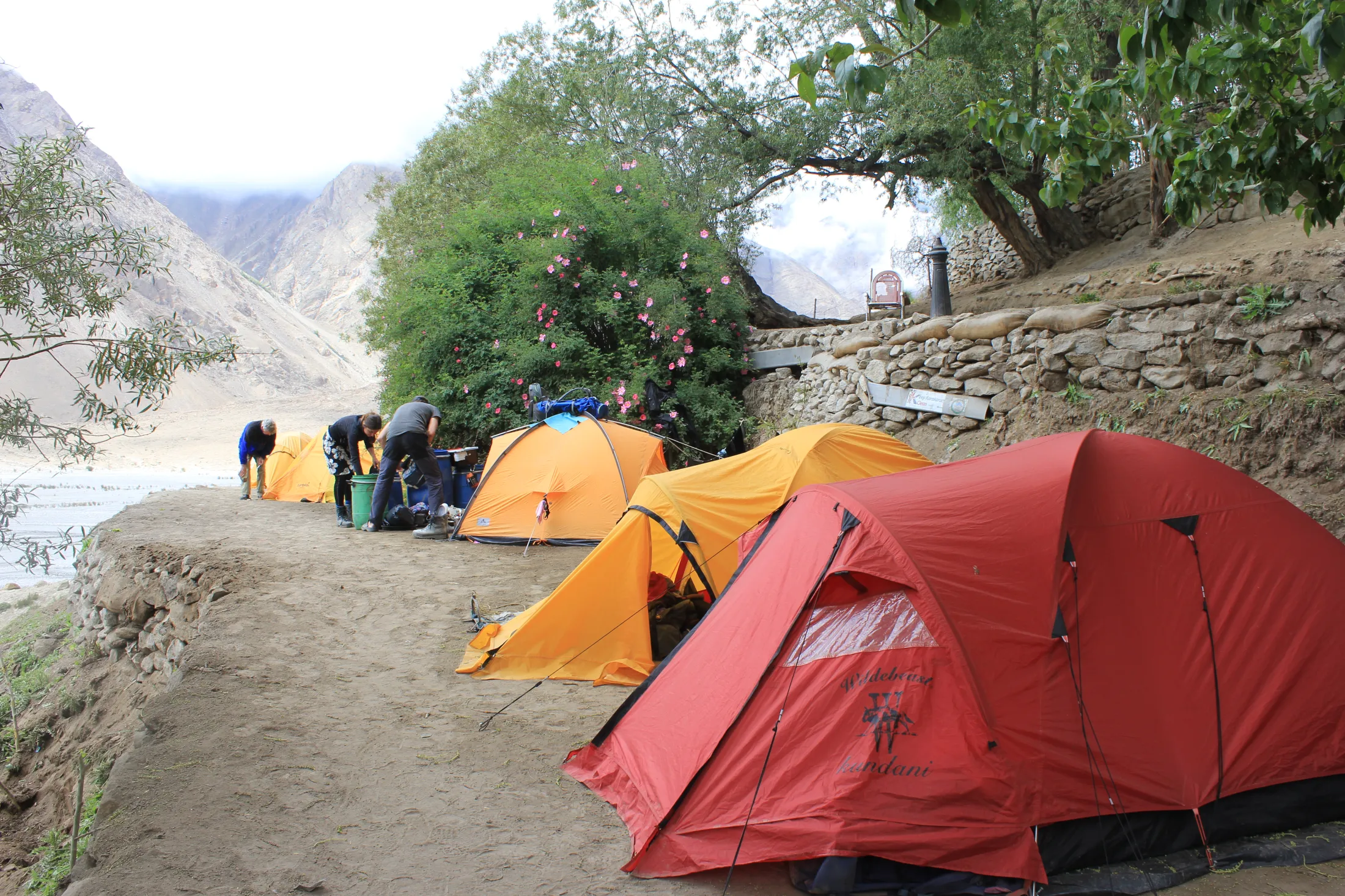 Red and yellow tents are pitched along a dirt ledge next to green trees and pink flowering bushes, with mountain slopes visible in the background.