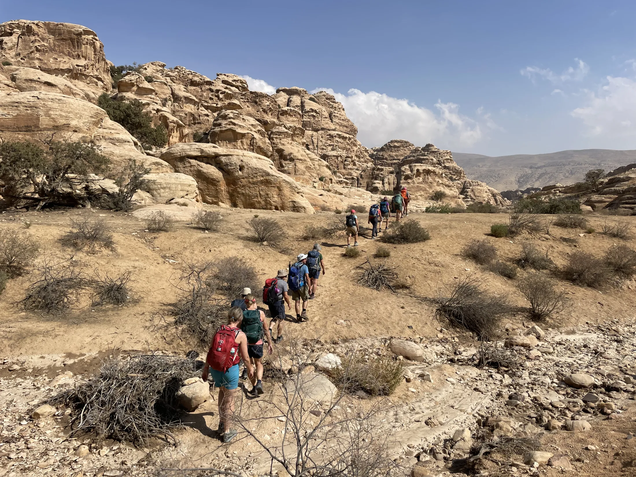 A group of hikers carrying backpacks walks in a line through a dry desert landscape toward towering sandstone cliffs.