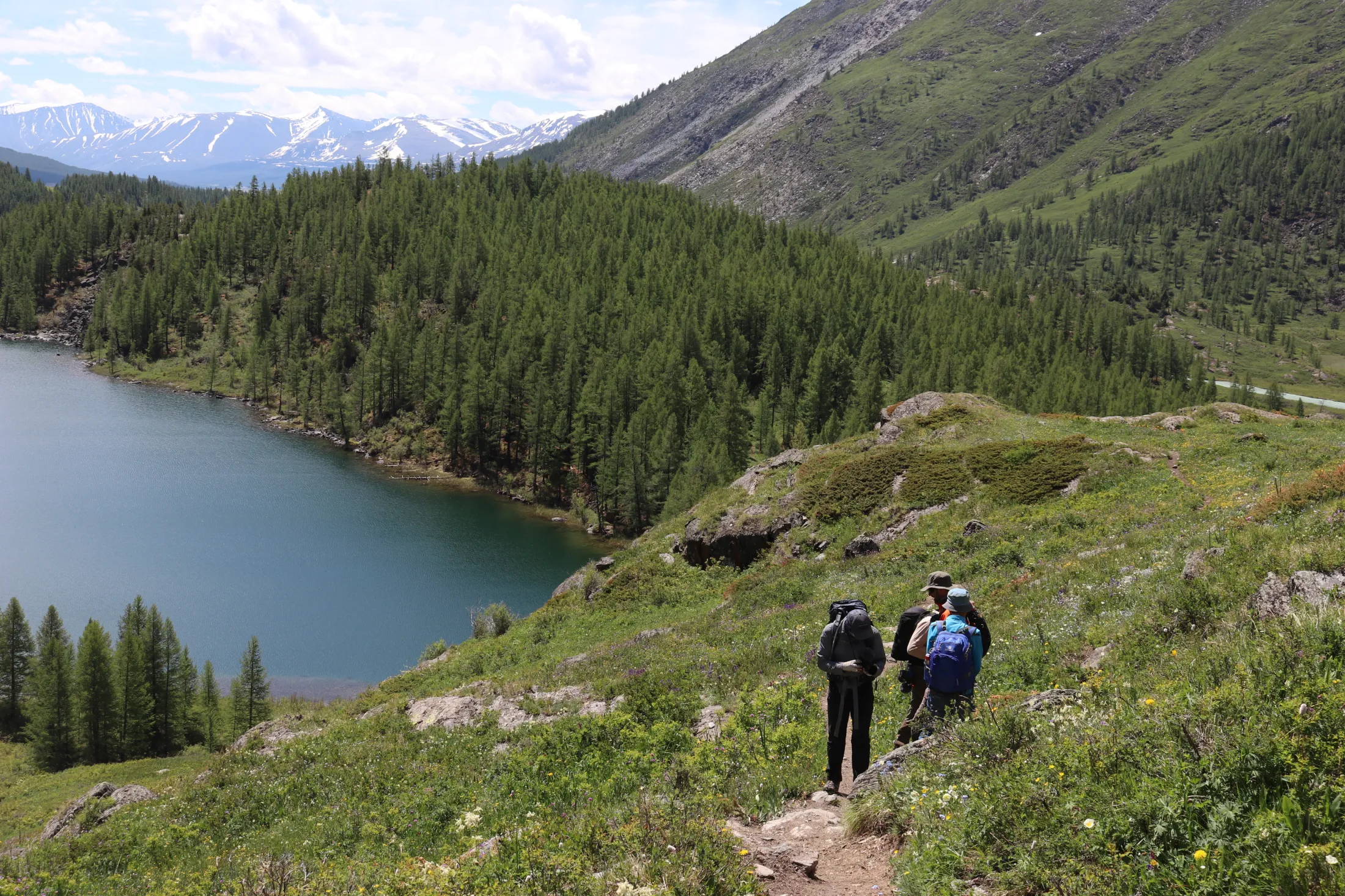 A group of hikers with backpacks walks along a dirt trail on a lush, wildflower-covered hillside overlooking a deep blue lake and a dense pine forest.