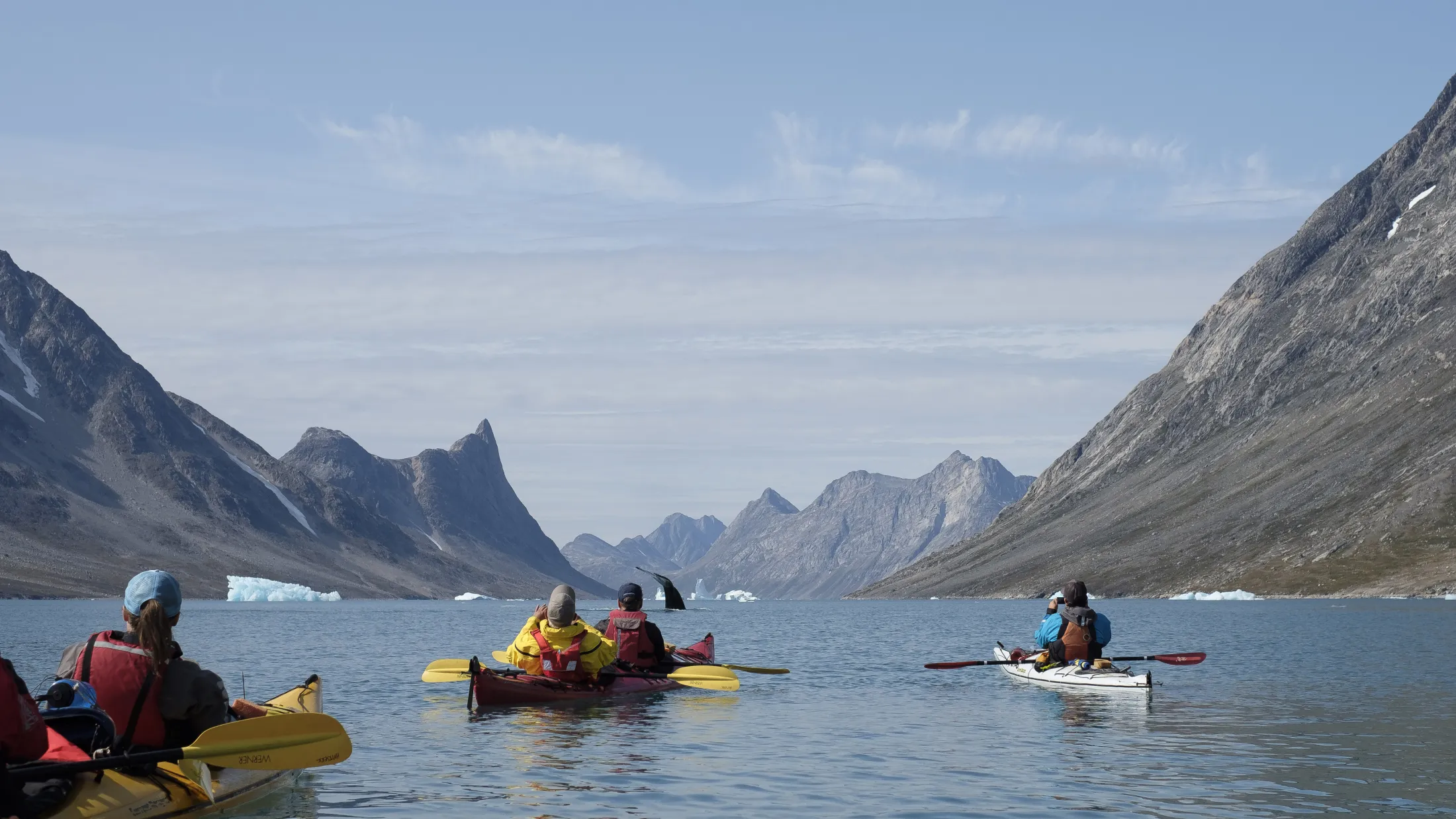 Several kayakers in a narrow fjord watch a whale tail breaking the surface of the water in the distance, surrounded by tall, steep mountains under a partly cloudy sky.