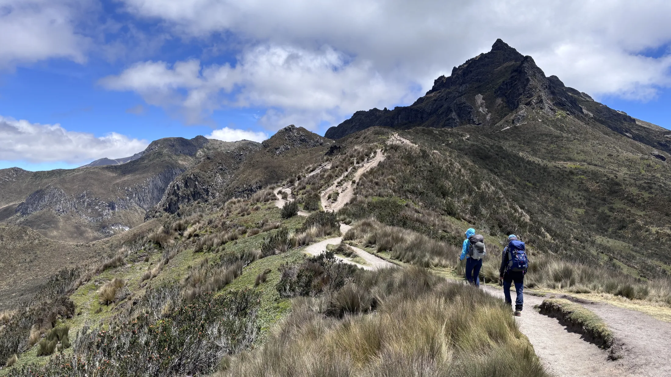 Hikers in landscape