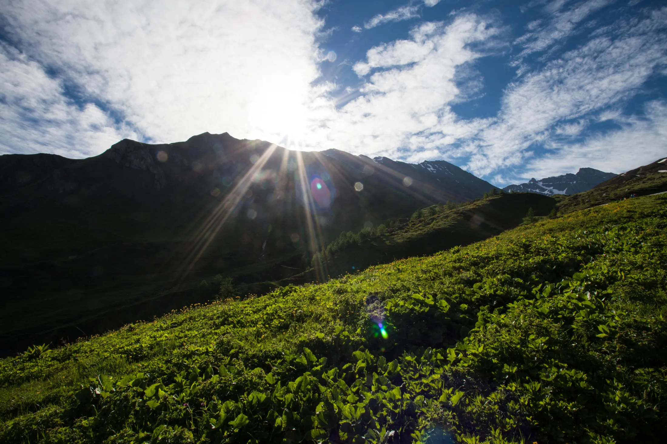 Bright sunbeams burst over a dark mountain ridge, illuminating a lush green, flower-speckled alpine hillside under a partly cloudy sky.