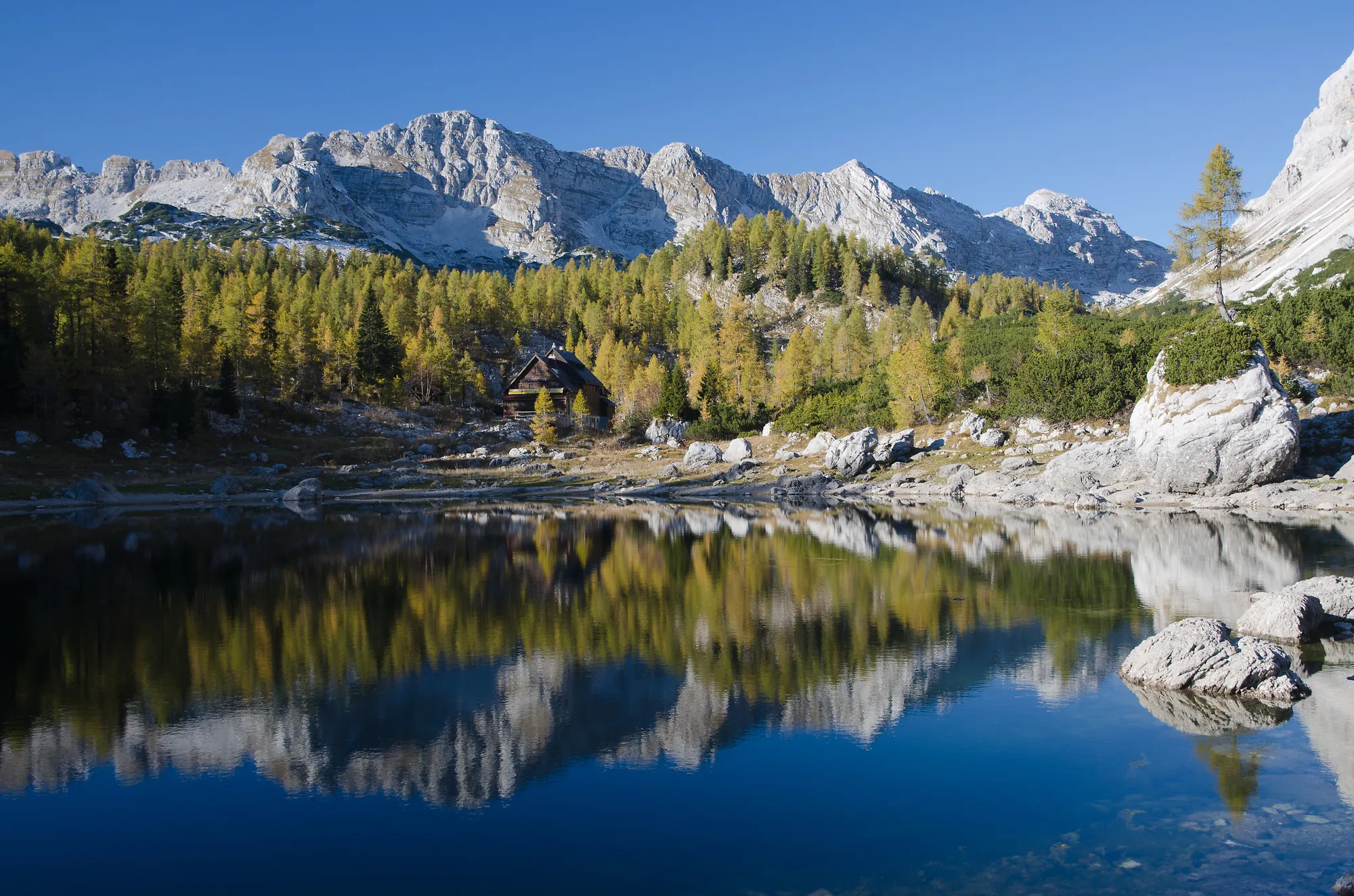 A rustic wooden mountain cabin stands nestled among golden autumn larch trees, perfectly reflected in the calm, blue waters of a mountain lake beneath towering rocky peaks.