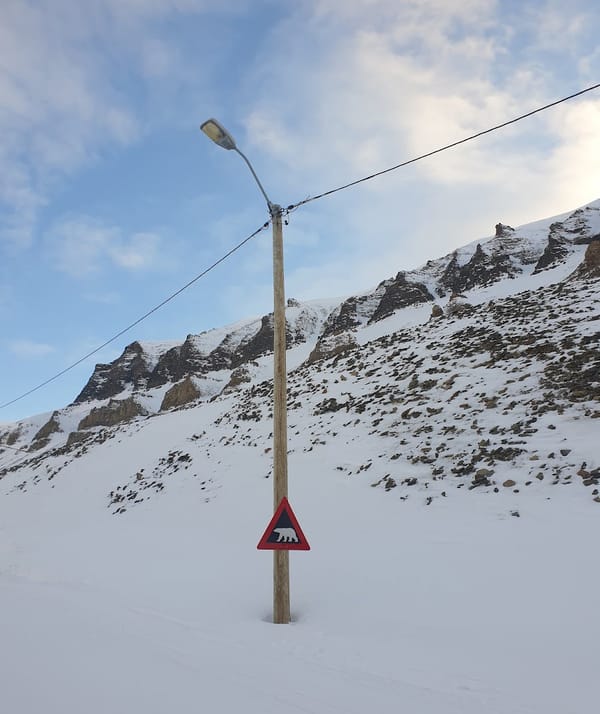 A polar bear warning sign mounted on a lamppost against a snowy mountain background.