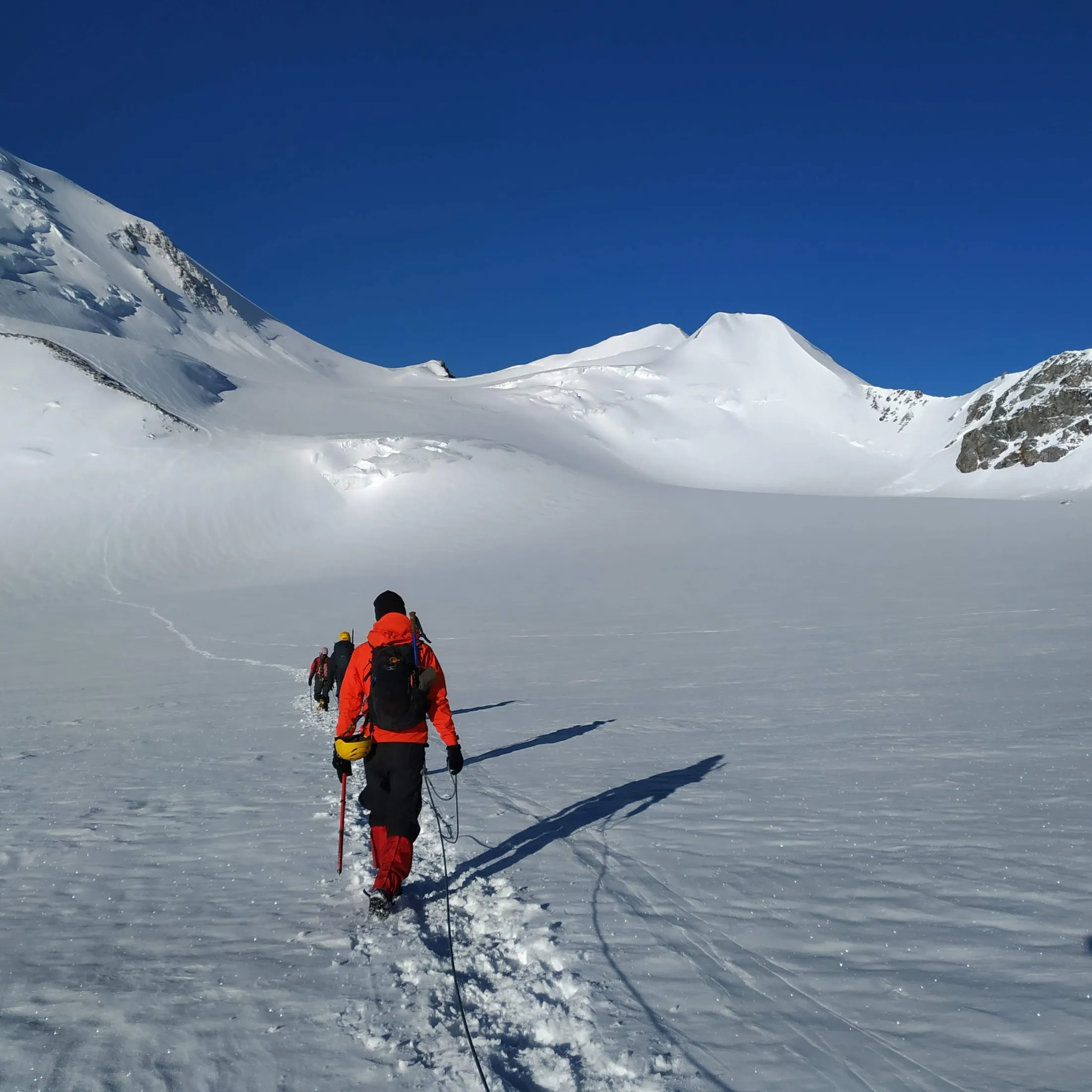 A team of roped mountaineers treks across a vast, snow-covered glacier toward high alpine peaks under a deep blue sky.