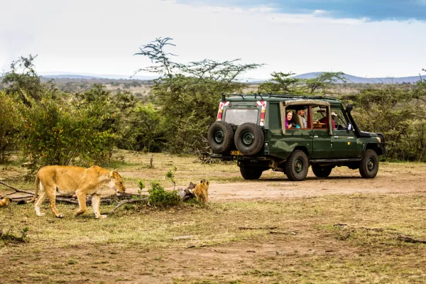 Serengeti Safari with Zanzibar Beach Holiday