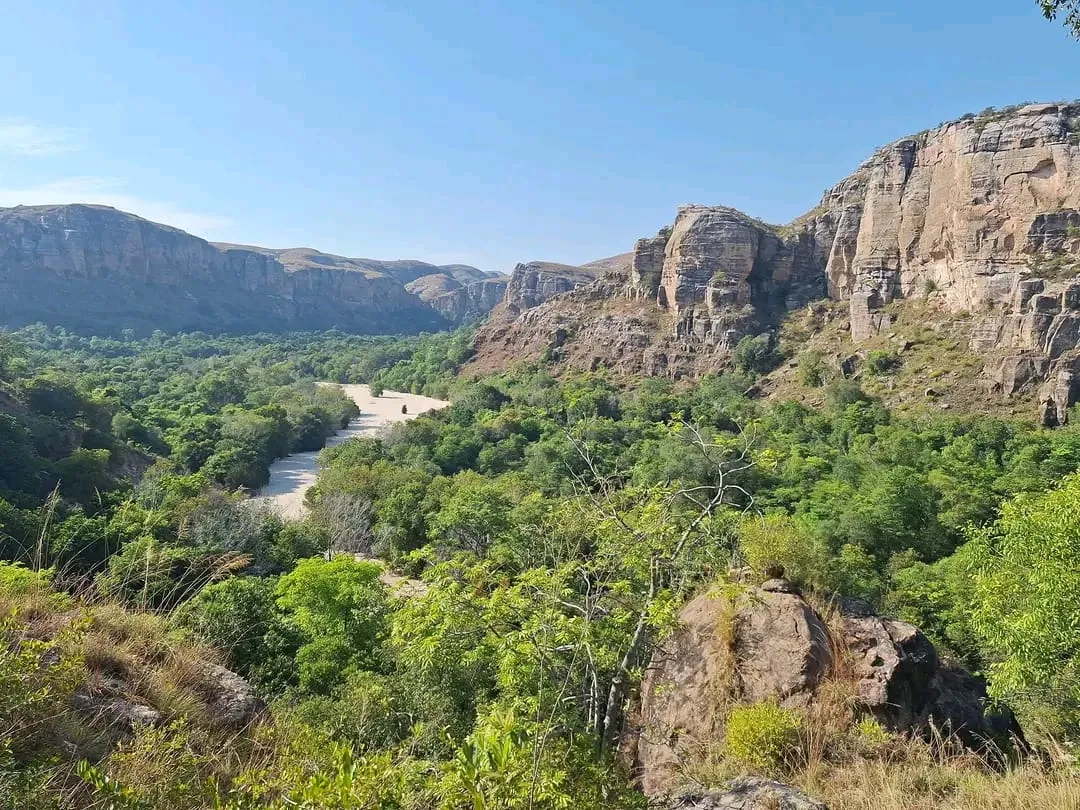 A view of a valley with trees and dried up river bed.