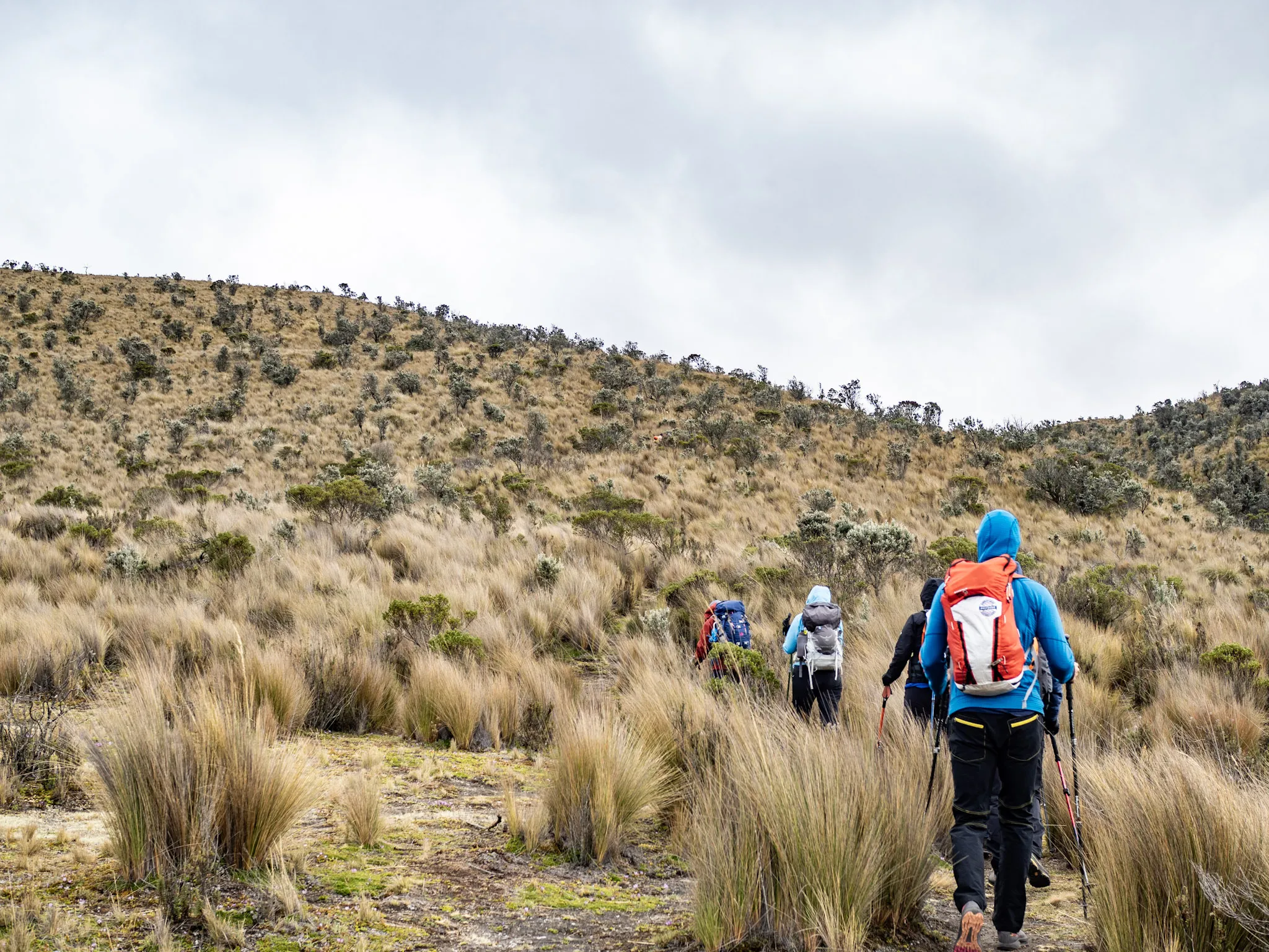 Hikers in landscape