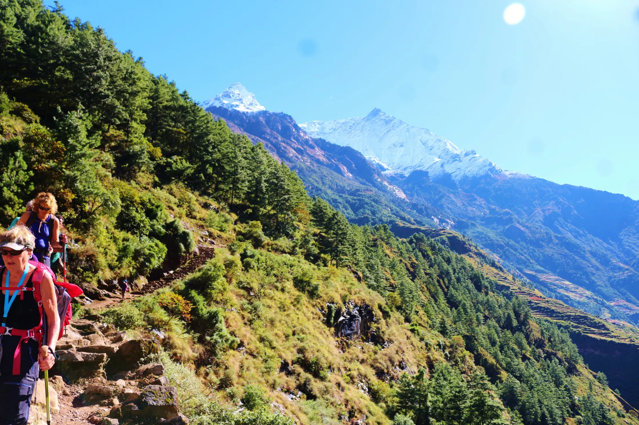 Hikers trek along a rugged mountain trail on a steep, forested hillside with snow-capped peaks rising in the background.