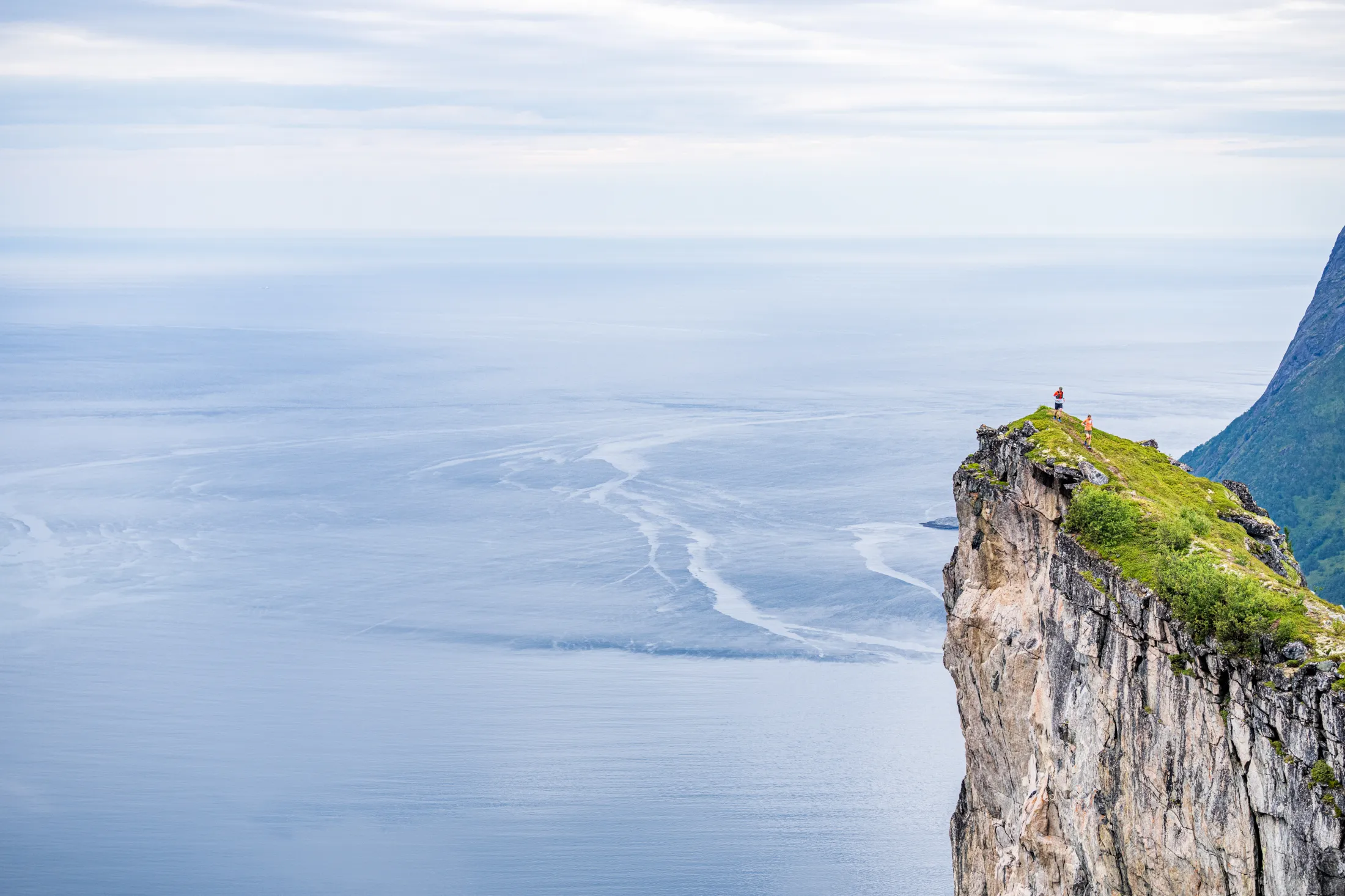 A grassy cliff edge overlooking a vast sea and hazy horizon.