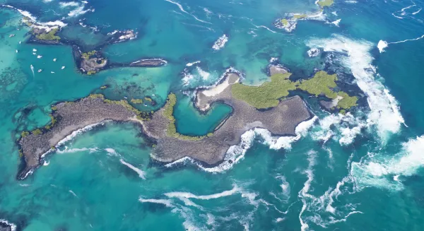 Galapagos and the Amazon