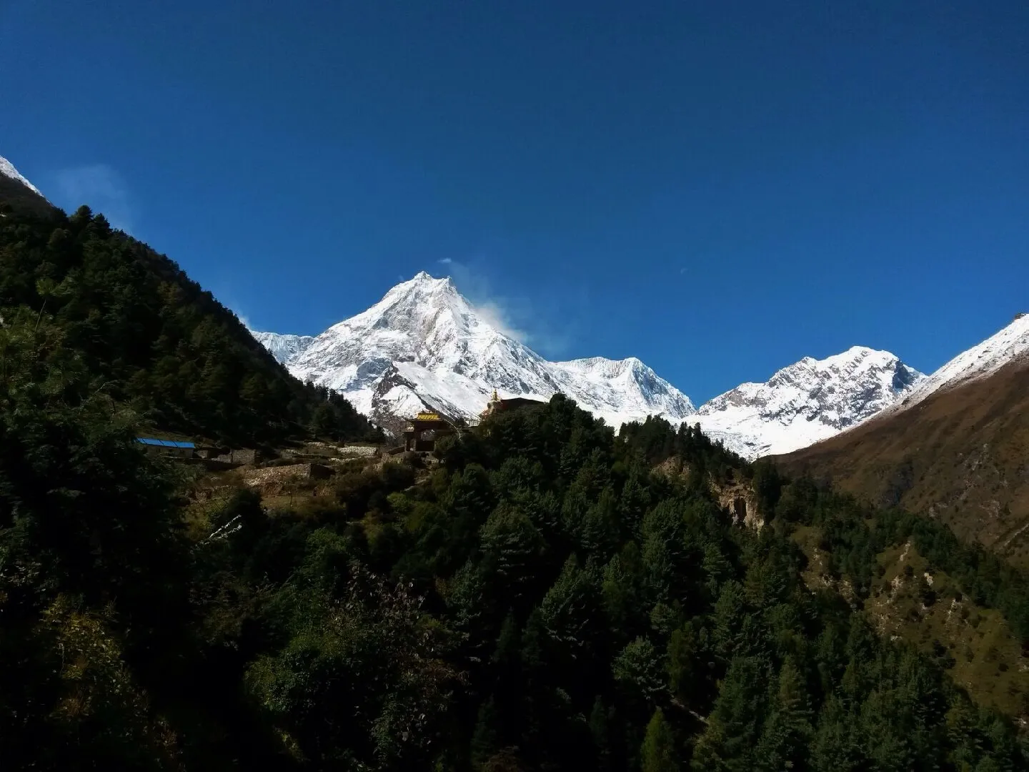 A striking, snow-covered mountain peak rises dramatically behind a densely forested ridge under a clear, deep blue sky.