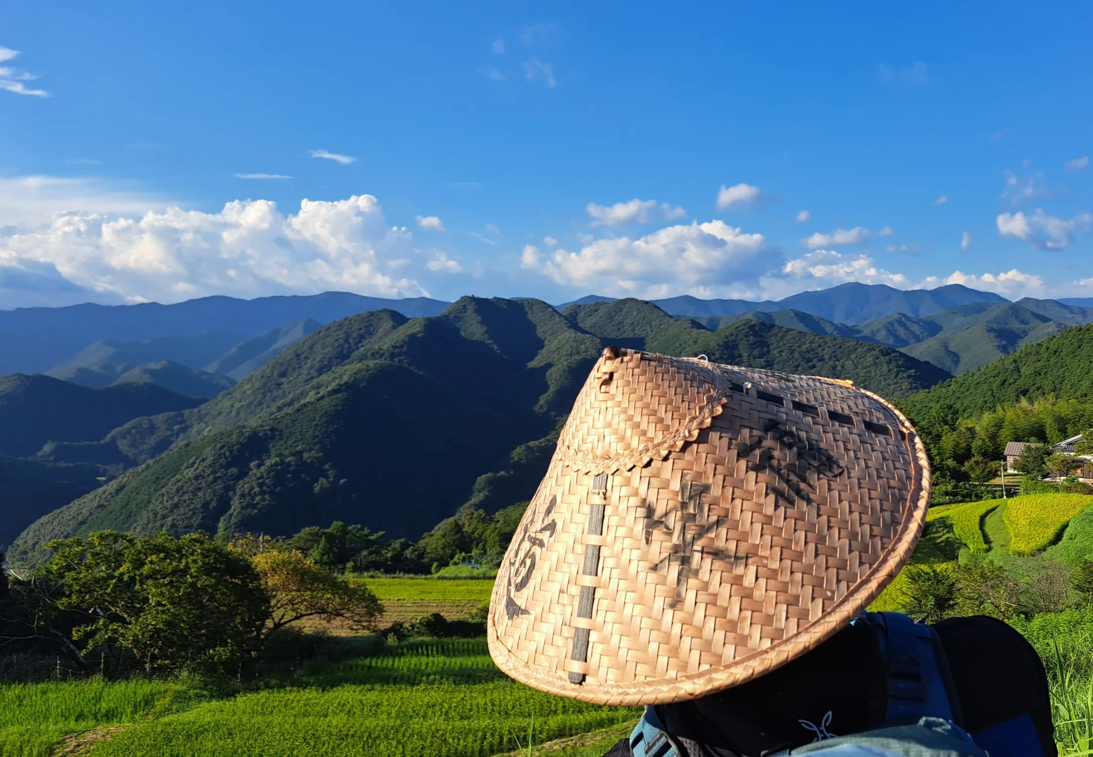 A person wearing a traditional woven conical hat stands before a vast landscape of vibrant green rice terraces and rolling forested mountains under a bright blue sky.