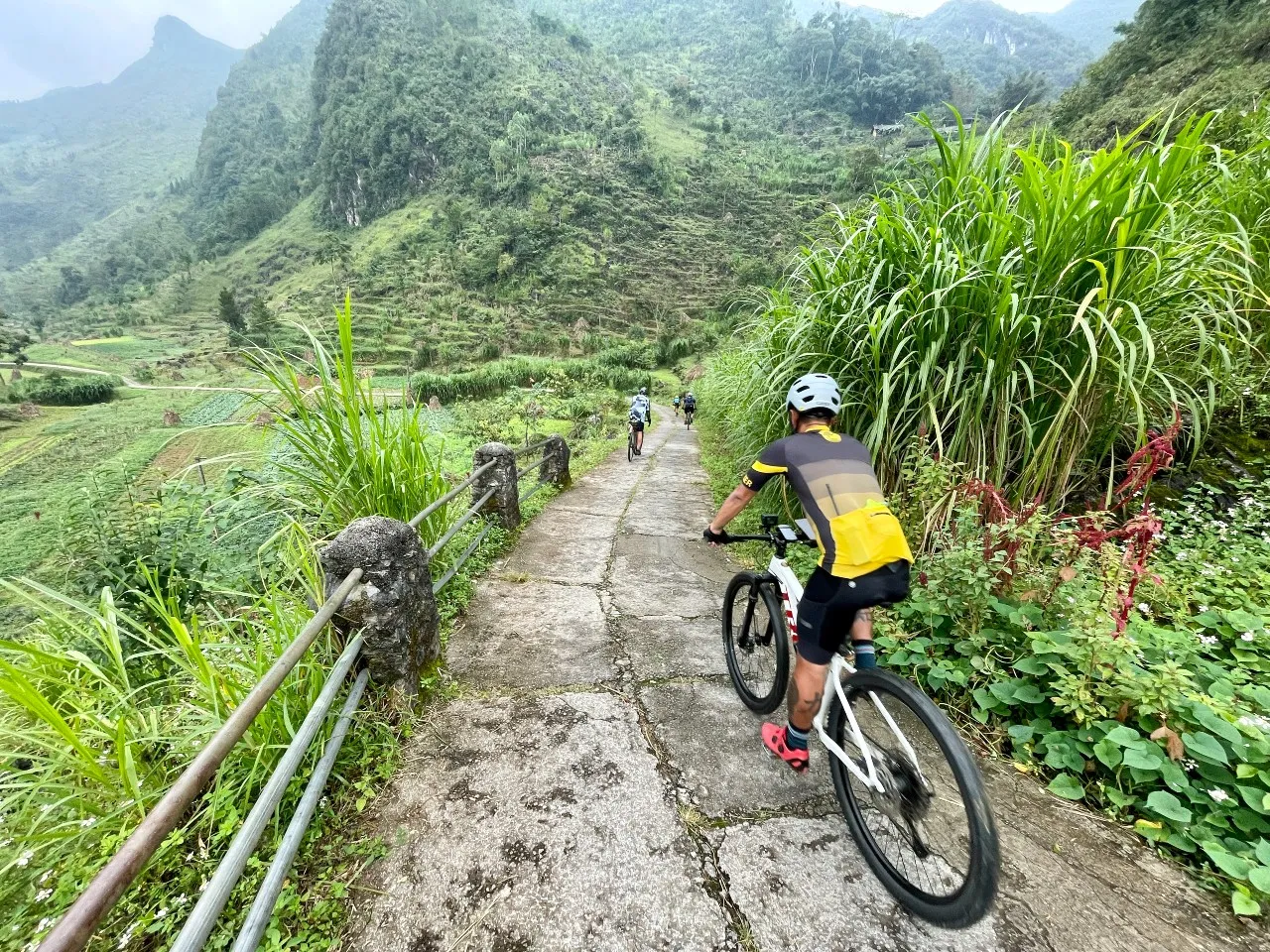 A mountain biker riding down a steep, narrow concrete path surrounded by lush green hills.