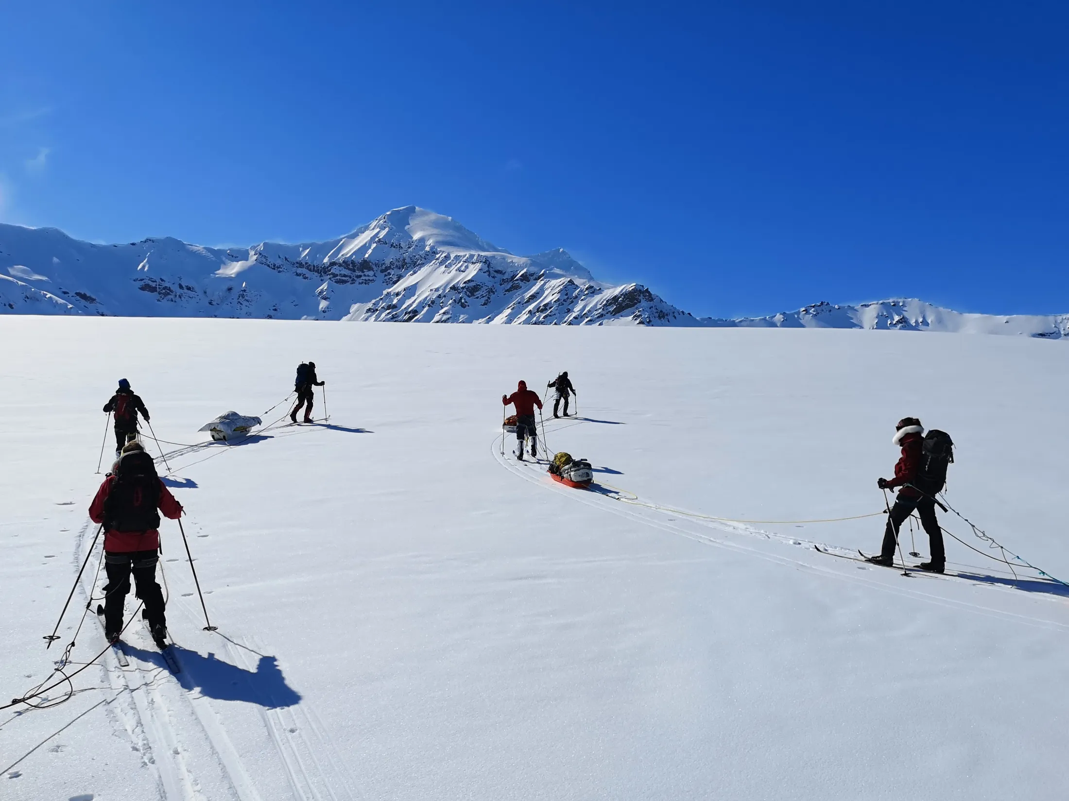 A group of people cross-country skiing on a vast snow-covered glacier under a clear blue sky, with snowy mountains in the distance and some pulling sleds.