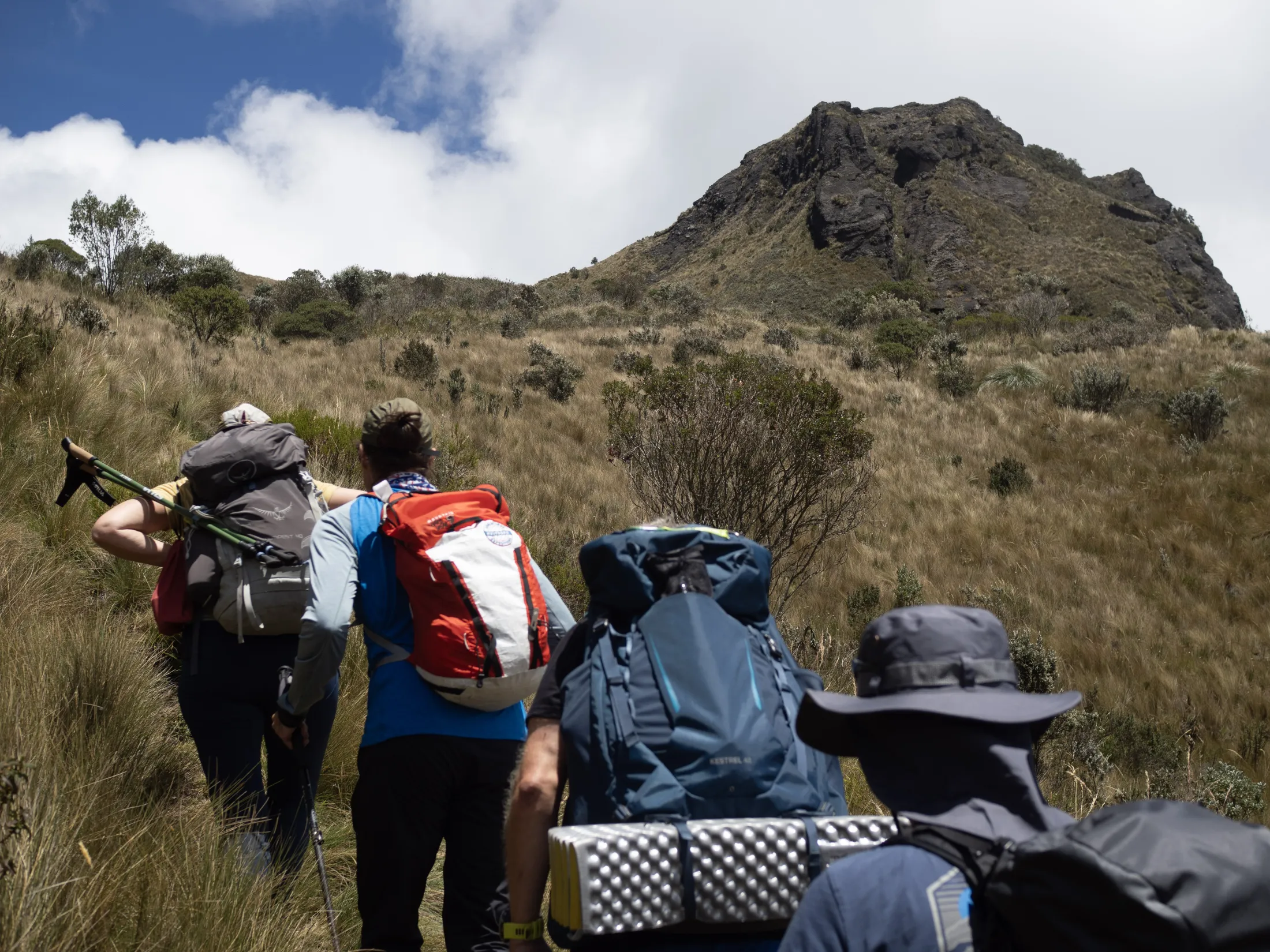 Hikers in landscape