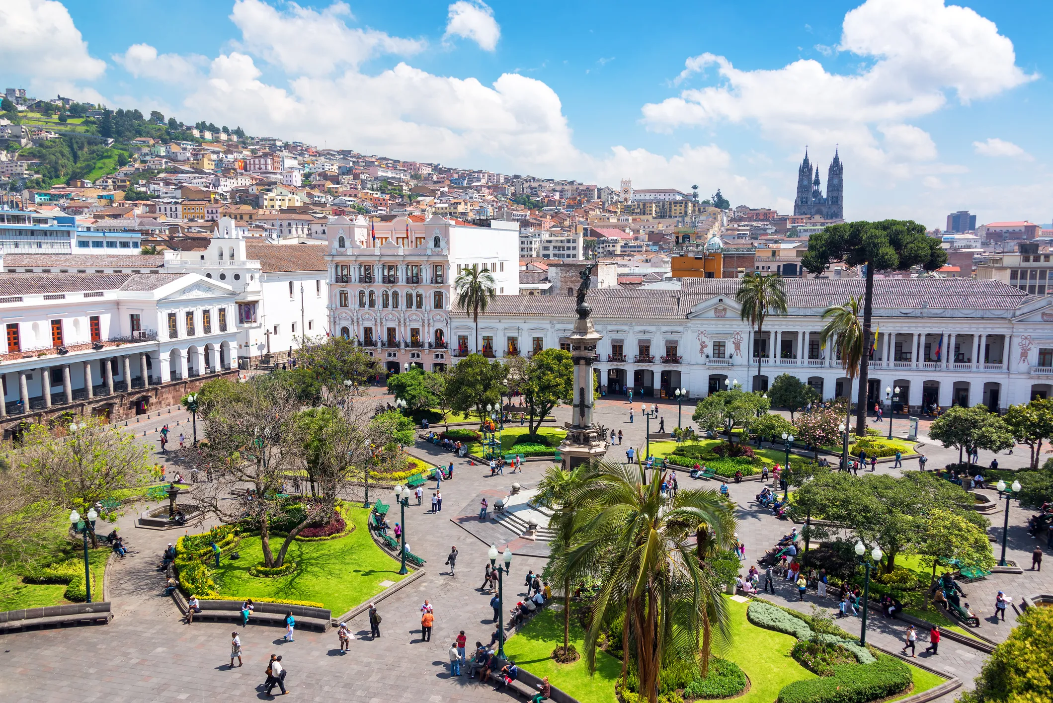 An elevated view of a bustling historic public square with manicured green lawns, palm trees, and a central monument, surrounded by grand white colonial buildings and a hillside city in the background.