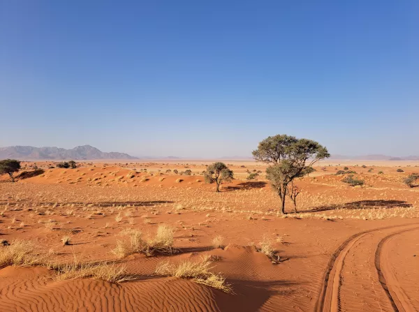 Exotic hiking in Namibia