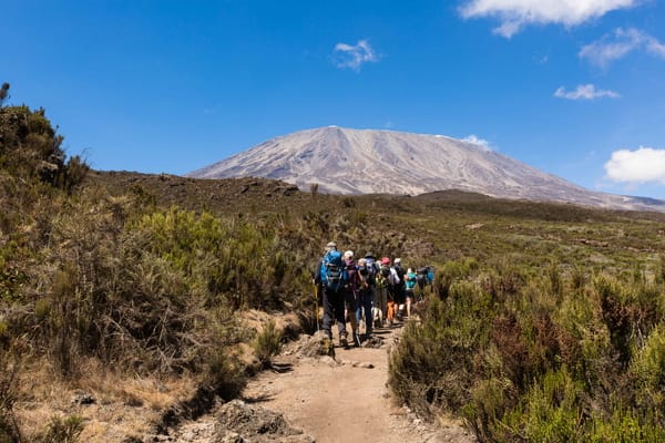 A group of hikers with backpacks walks along a dirt trail through low vegetation toward Mount Kilimanjaro under a clear blue sky.