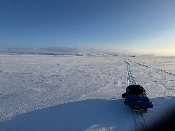 A wide, snowy landscape with a pulk in the foreground under a clear blue sky.