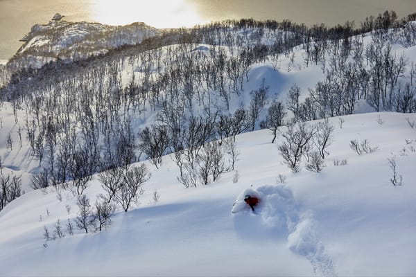 A snowy landscape with snow-covered mountains, sparse trees, and a lone skier in the foreground.