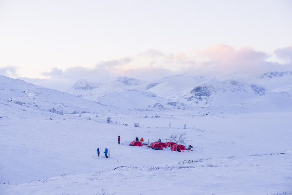 An expedition camp with red tents pitched in a wide, snow-covered mountain landscape under a pale dawn sky.