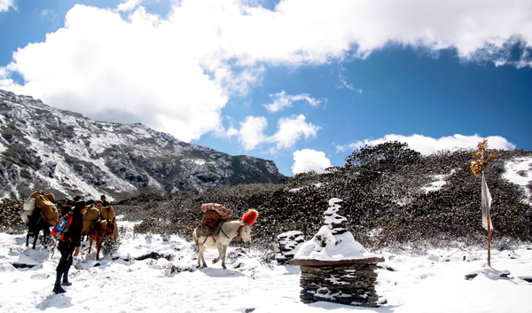 A trekker and loaded pack horses navigating a snow-covered mountain trail past a stone cairn under a partly cloudy blue sky.