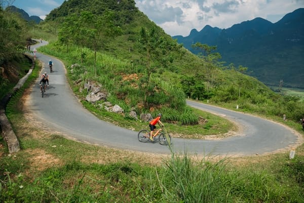 Cyclists riding along a winding mountain road in a lush, green landscape.