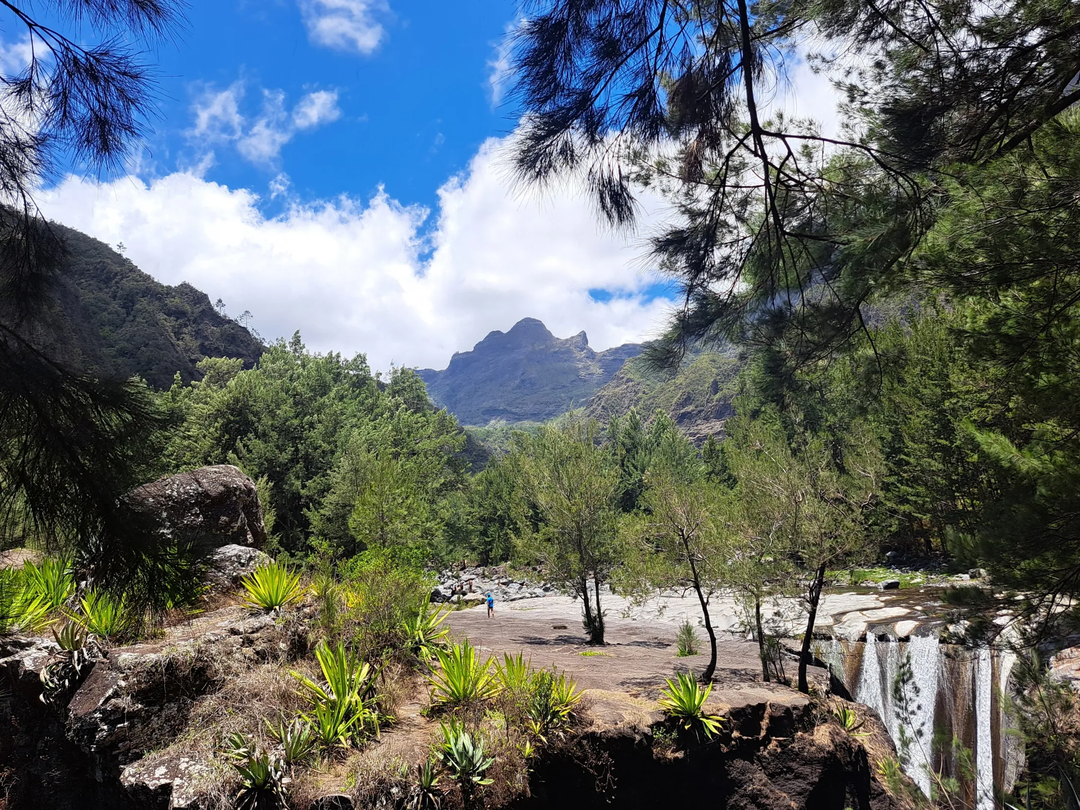 A picturesque view of a mountain valley framed by pine branches, featuring a waterfall on the right, sharp volcanic peaks in the distance, and agave plants in the rocky foreground.
