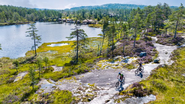 Two cyclists riding electric bikes on a trail by a lake in a lush green landscape with trees.