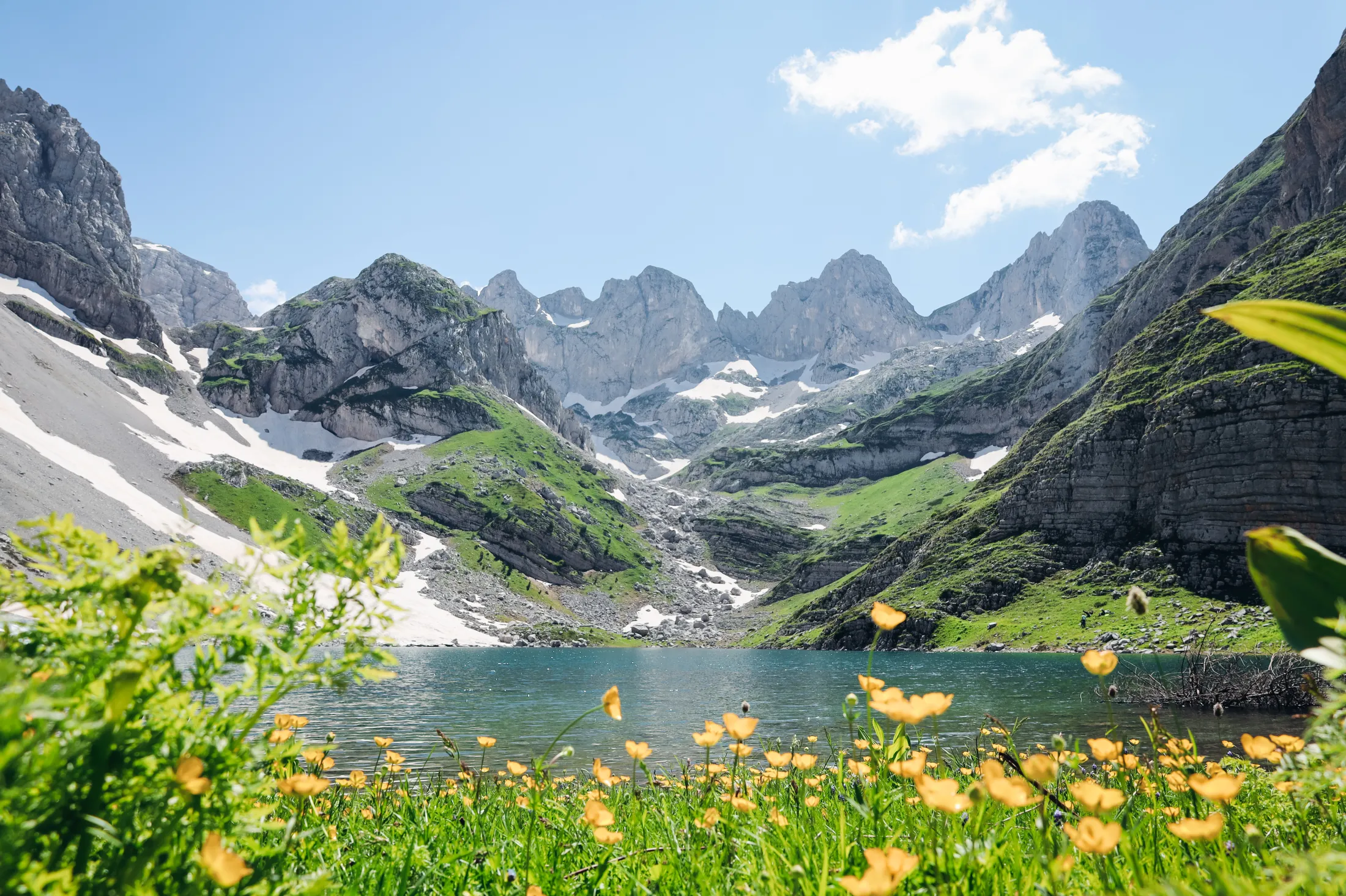 A clear alpine lake surrounded by rugged mountains with patches of snow, with yellow wildflowers in the foreground.