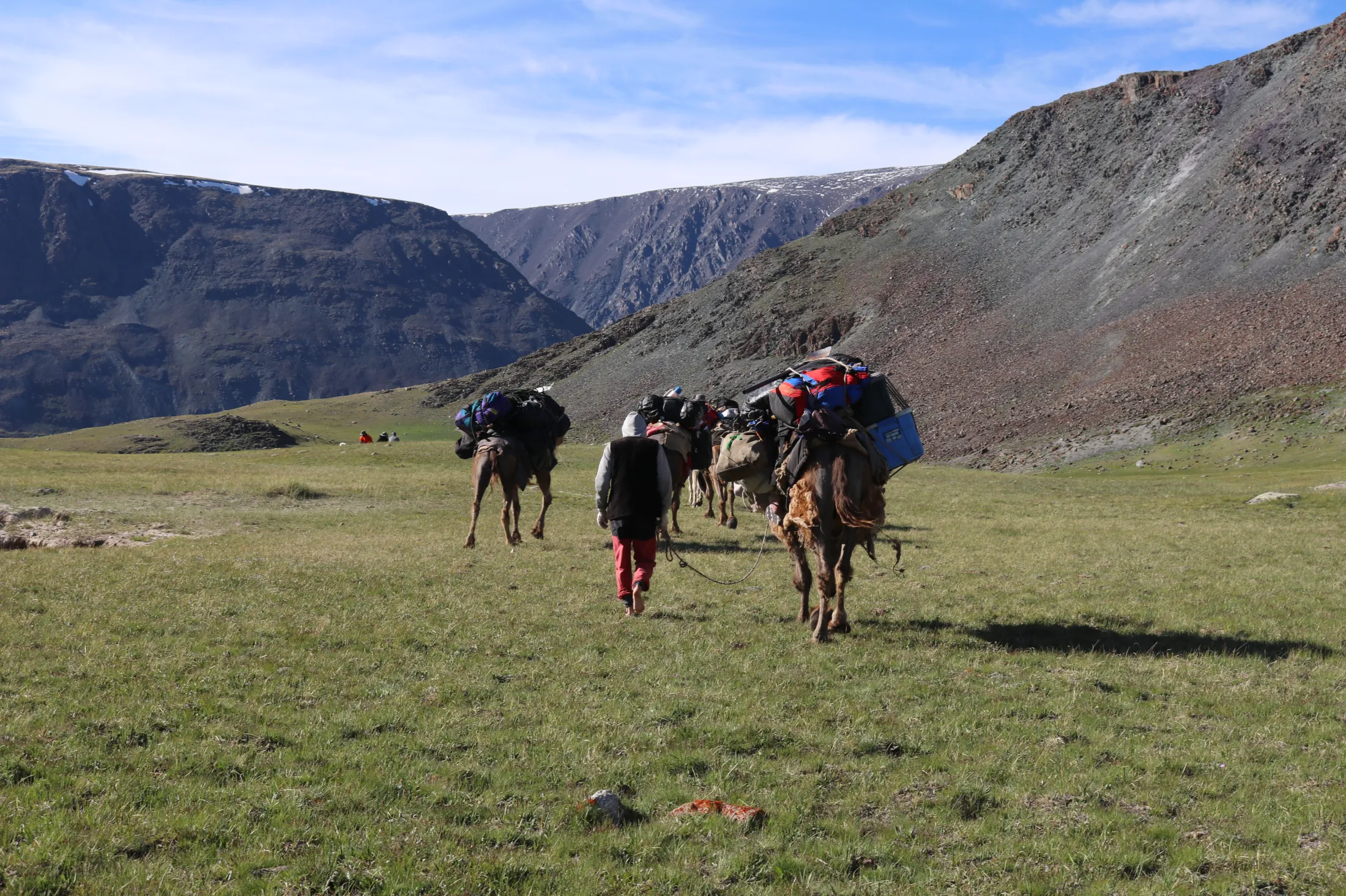 A person walks on foot leading a line of pack camels heavily loaded with gear across a grassy valley surrounded by rugged mountains.