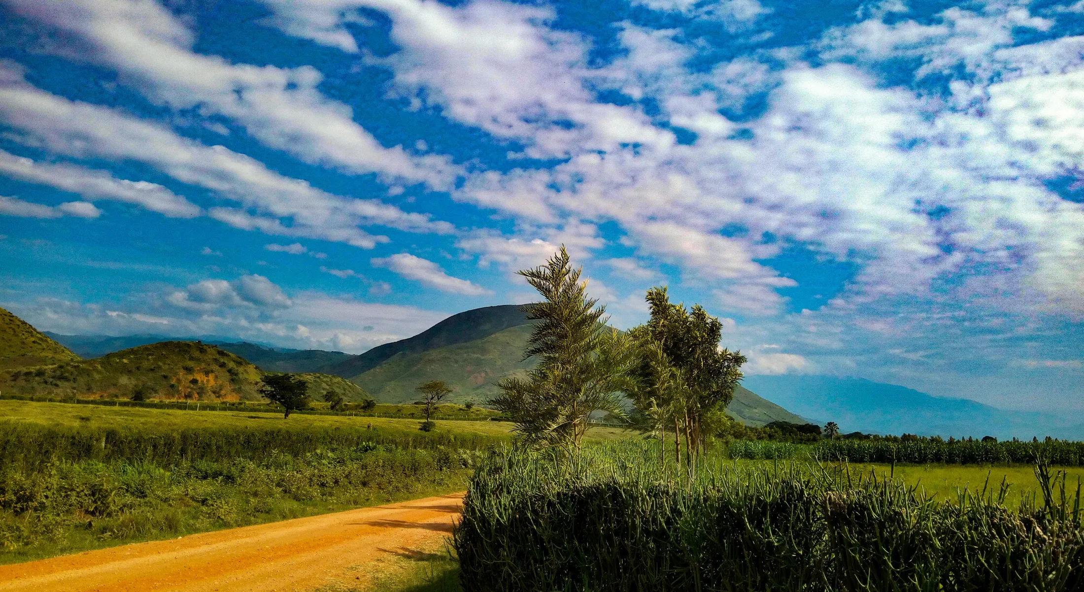 A dirt road winds past green fields and scattered trees toward rolling hills and distant mountains under a bright blue sky filled with white clouds.