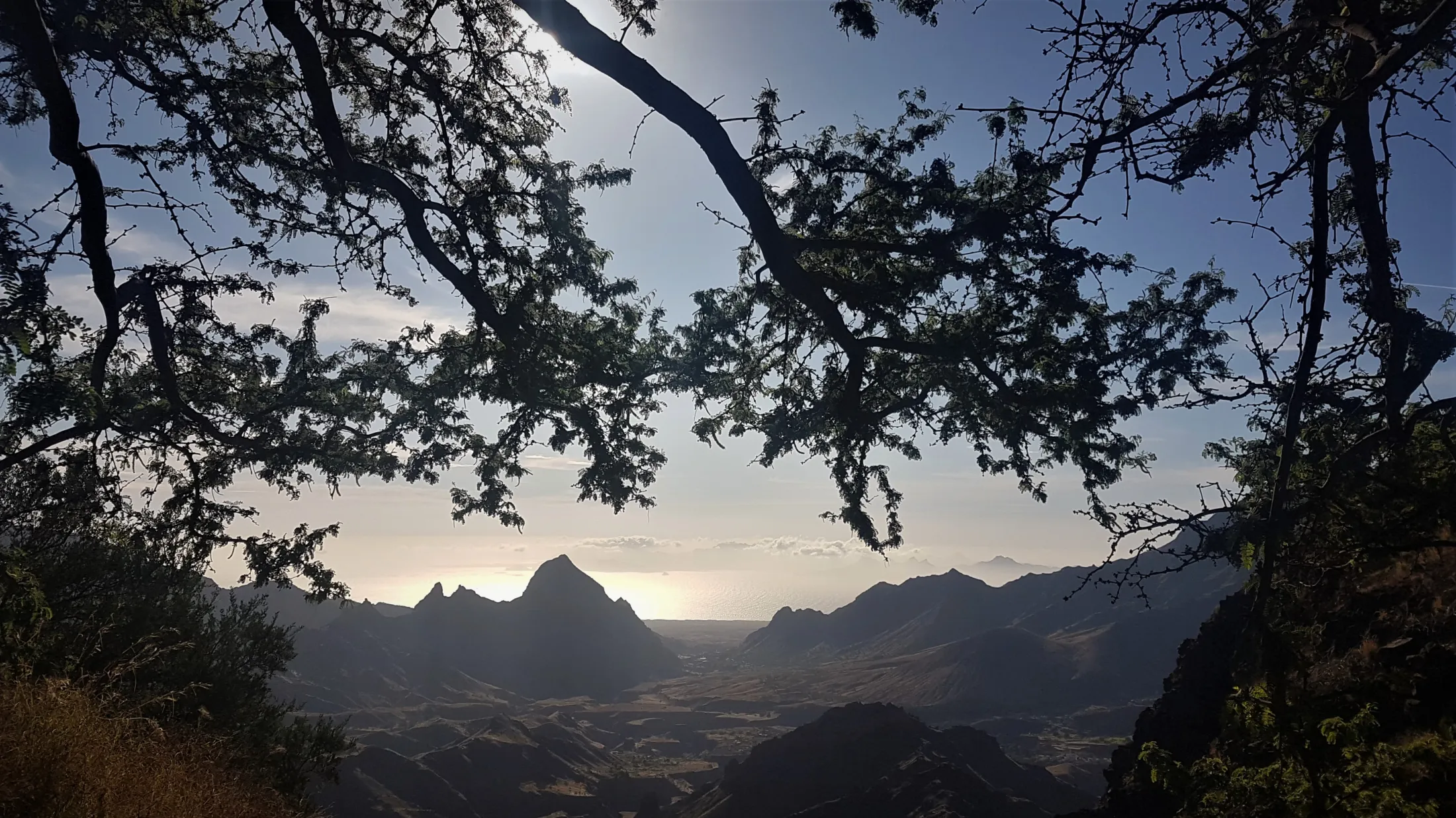 Silhouetted tree branches frame an elevated view of a rugged volcanic valley leading toward a sunlit, shimmering ocean horizon under a bright sky.