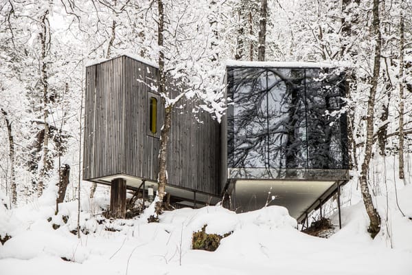 Modern wooden cabin nestled in a snowy forest with a large glass wall reflecting the trees.