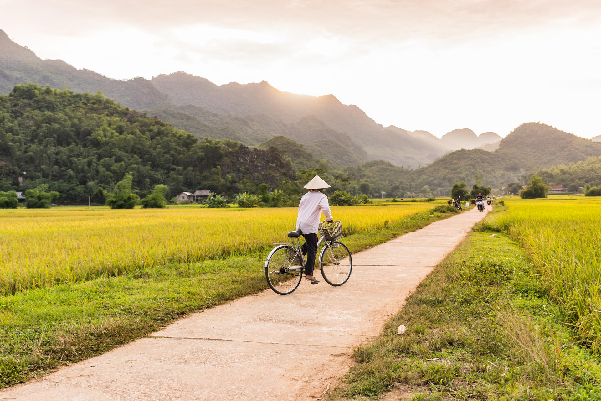 Woman in a rice hat riding a bicycle in a ricefield near Lac Vil