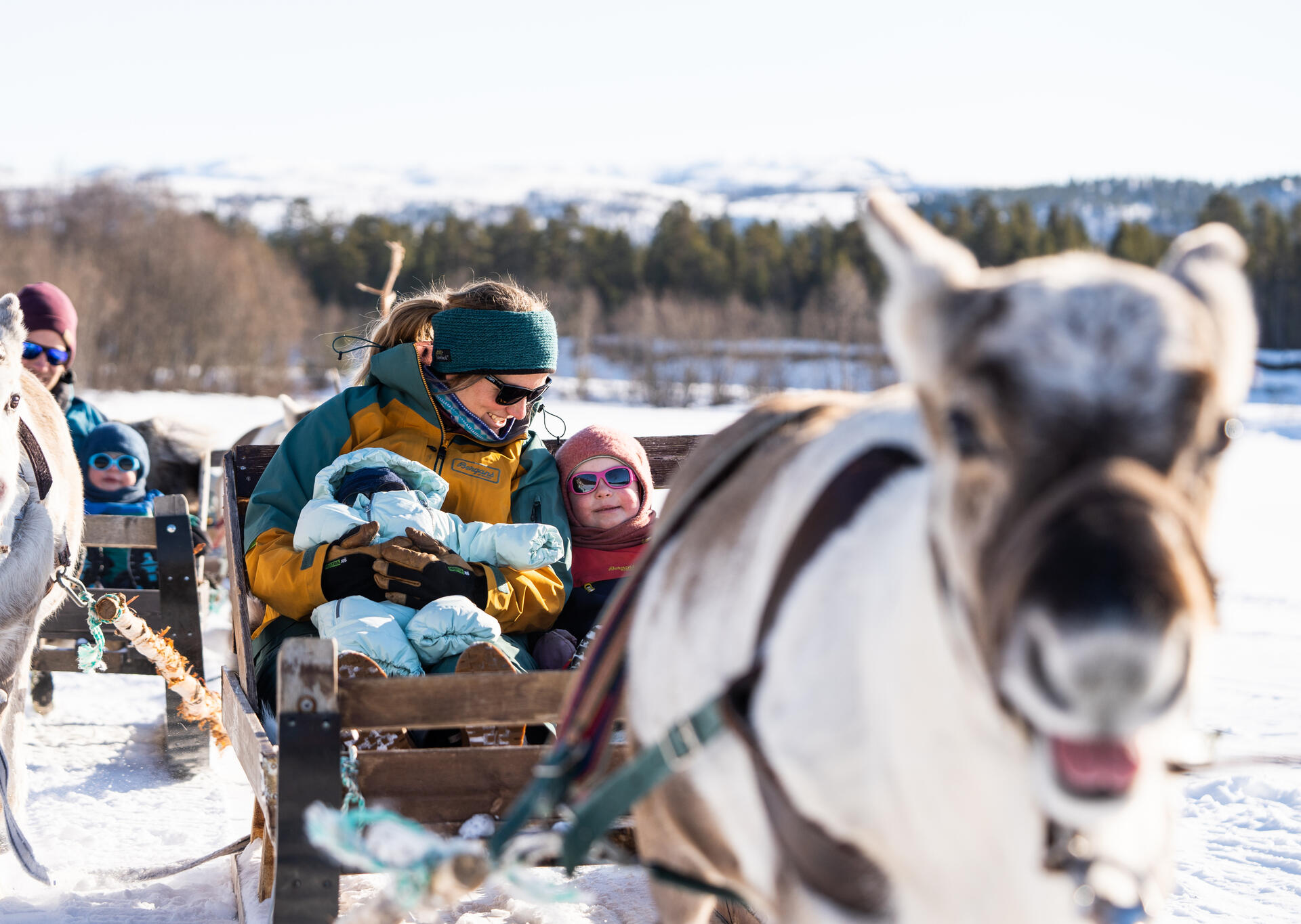 ReindeerSledding@Sorrisniva