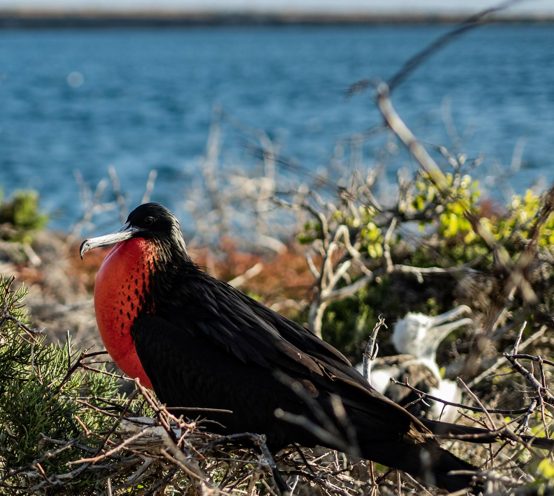 EcuadorGalapagos-2025@ecoandestravel (8)