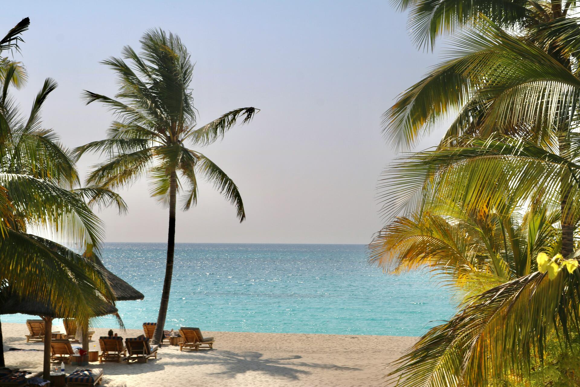 Zanzibar-2025@danai-tsoutreli-unsplash (1)