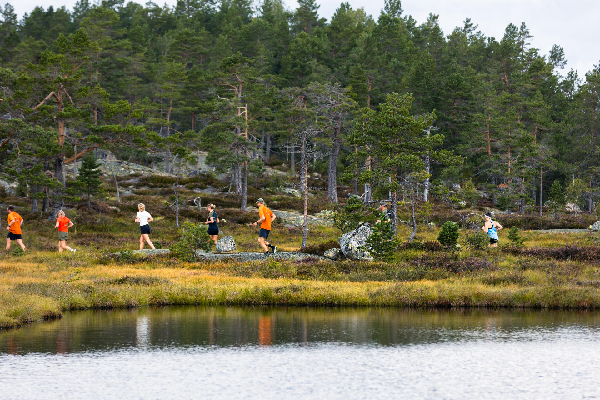 Trail run (63)