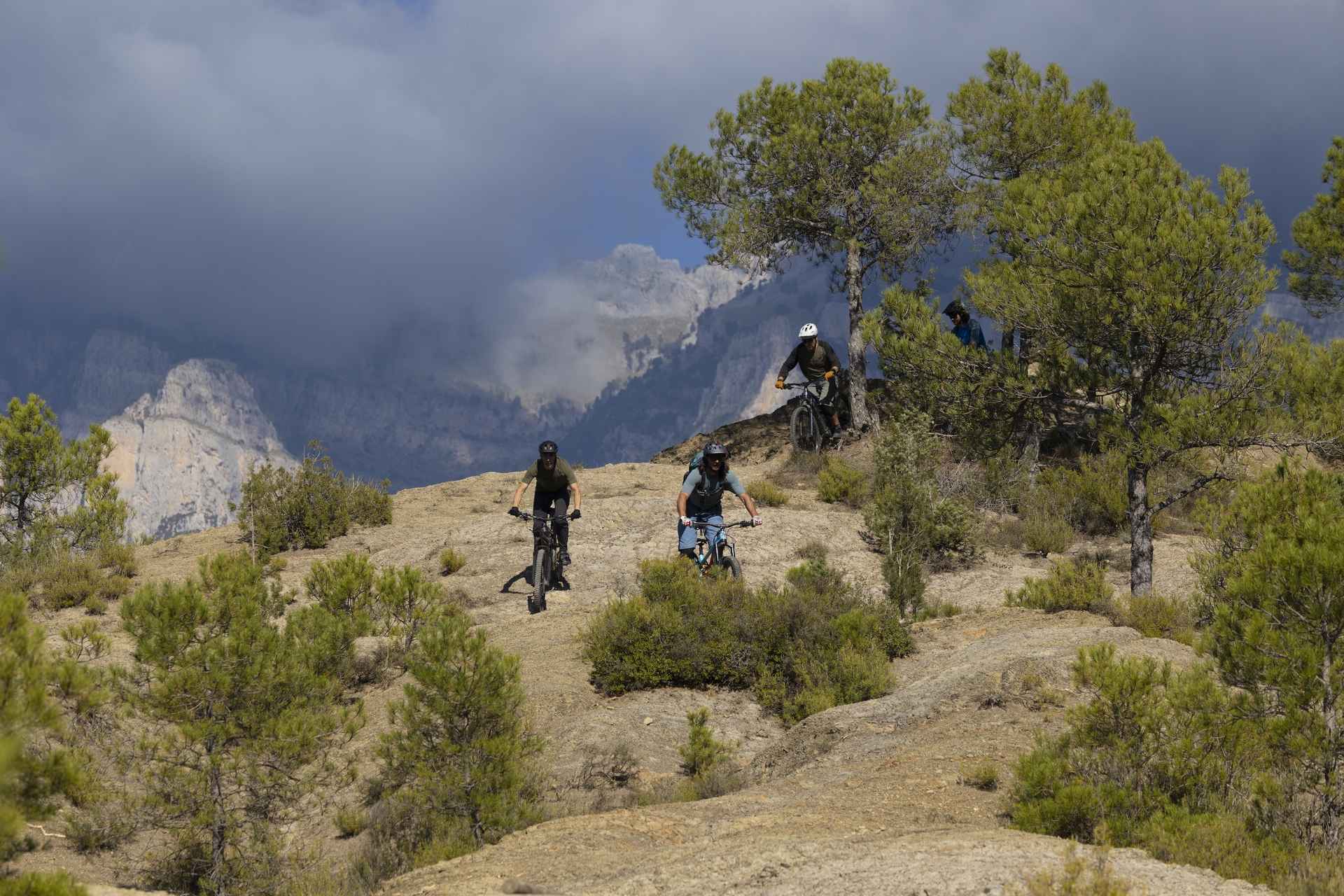 Pyreneene-2025@Blacktowntrails  (16)